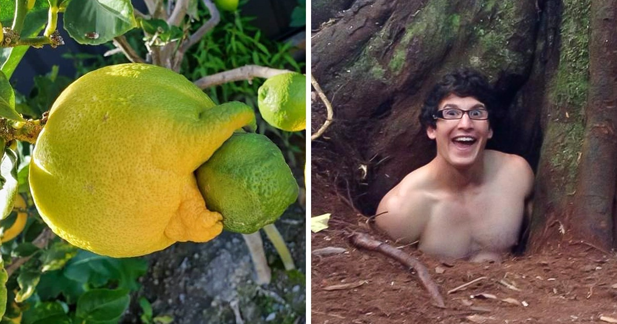 17 Fotos reais que precisam de um detetive para serem desvendadas
