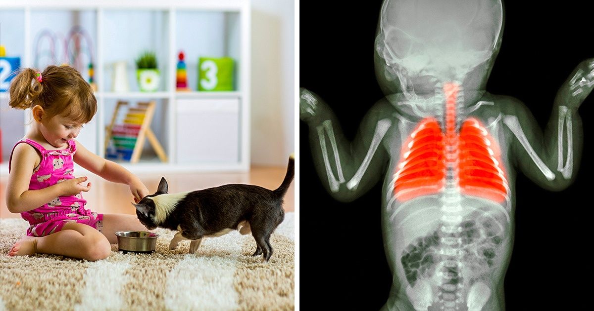 8 Produtos de risco que os pais não deveriam comprar para os filhos 8 Produtos de risco que os pais não deveriam comprar para os filhos