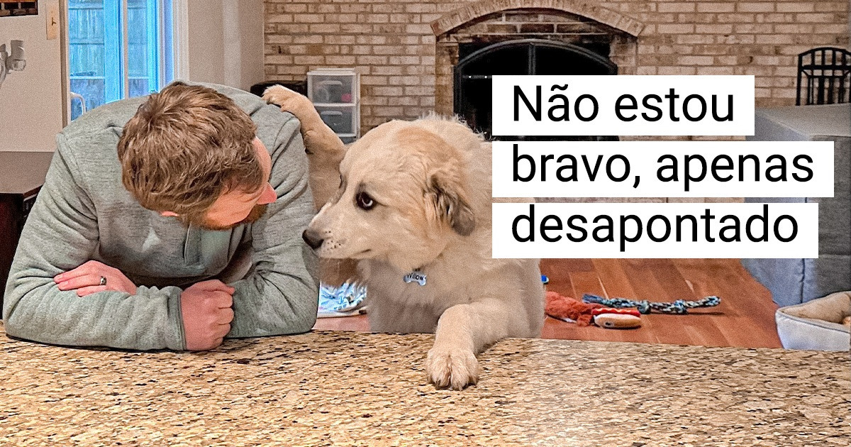 20 Fotos adoráveis ​​que quase ninguém consegue resistir, nem nós