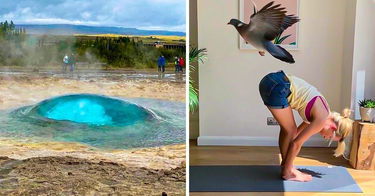 19 Vezes em que havia alguém com uma câmera no lugar certo e na hora exata 19 Vezes em que havia alguém com uma câmera no lugar certo e na hora exata