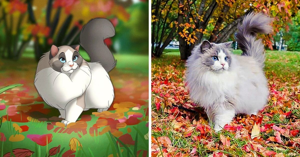 Ilustrador transforma fotos de seu animal de estimação em criações mágicas no melhor estilo Disney Ilustrador transforma fotos de seu animal de estimação em criações mágicas no melhor estilo Disney