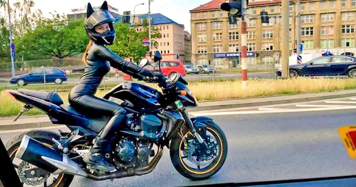 25 Provas de que podemos nos deparar com todos os tipos de surpresa pela estrada