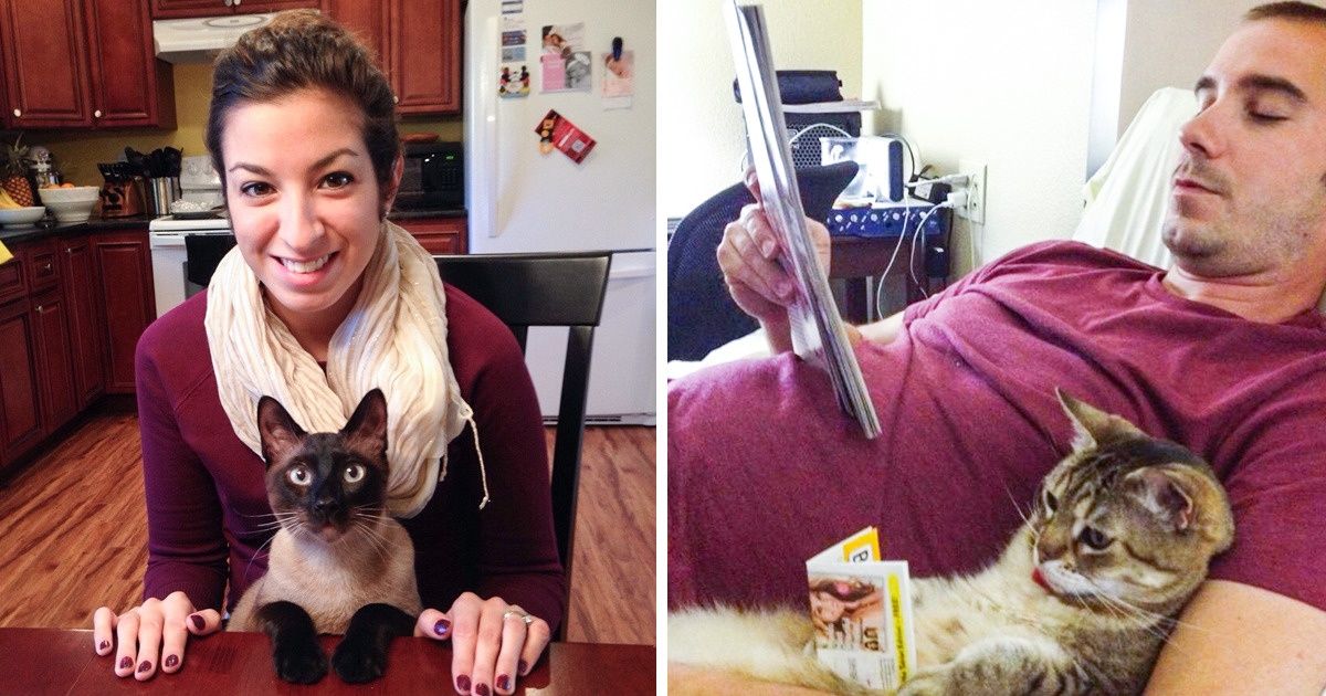 Segundo estudo, o comportamento de um gato é um reflexo da personalidade de seu dono Segundo estudo, o comportamento de um gato é um reflexo da personalidade de seu dono