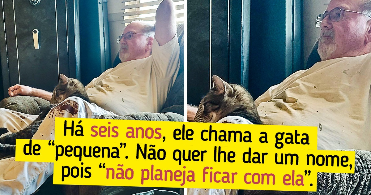 20+ Pets que chegaram para ficar, ainda que, a princípio, seus tutores não aprovassem a ideia