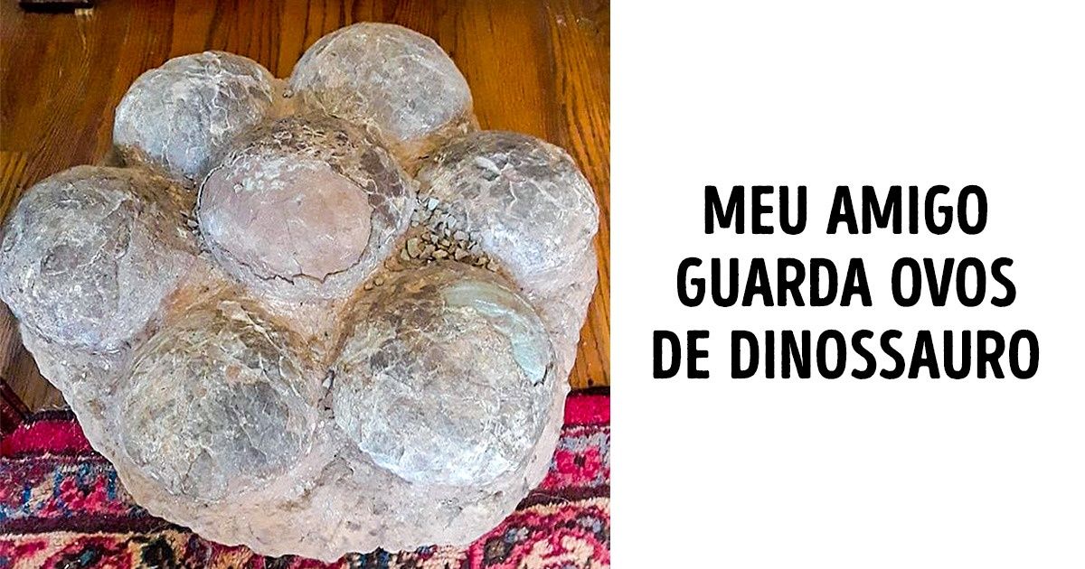 22 Coleções de objetos que irão despertar sua curiosidade 22 Coleções de objetos que irão despertar sua curiosidade