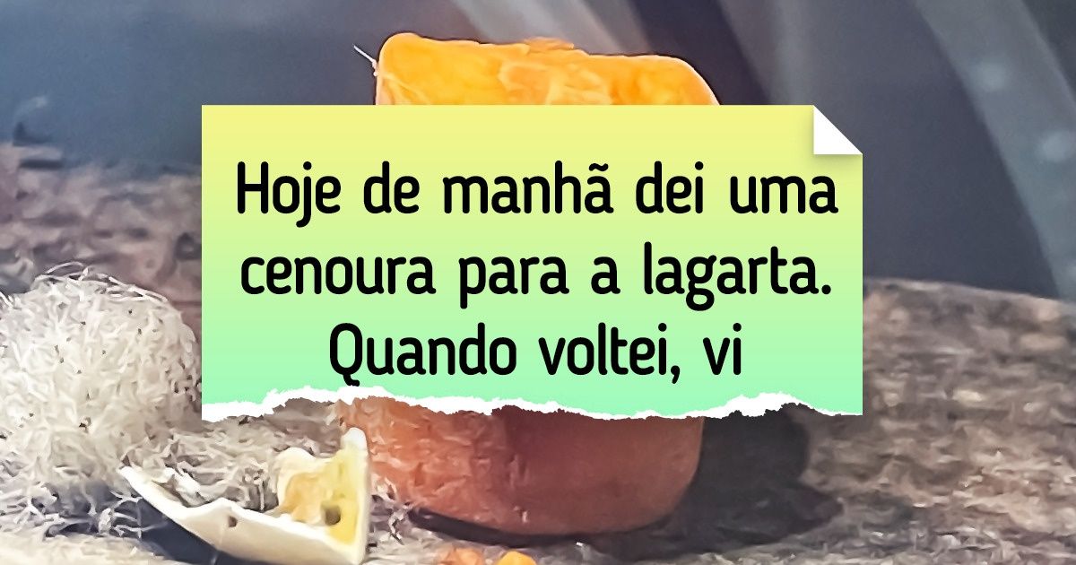 18 Pessoas que fizeram pequenas descobertas, e agora o mundo delas nunca mais será o mesmo