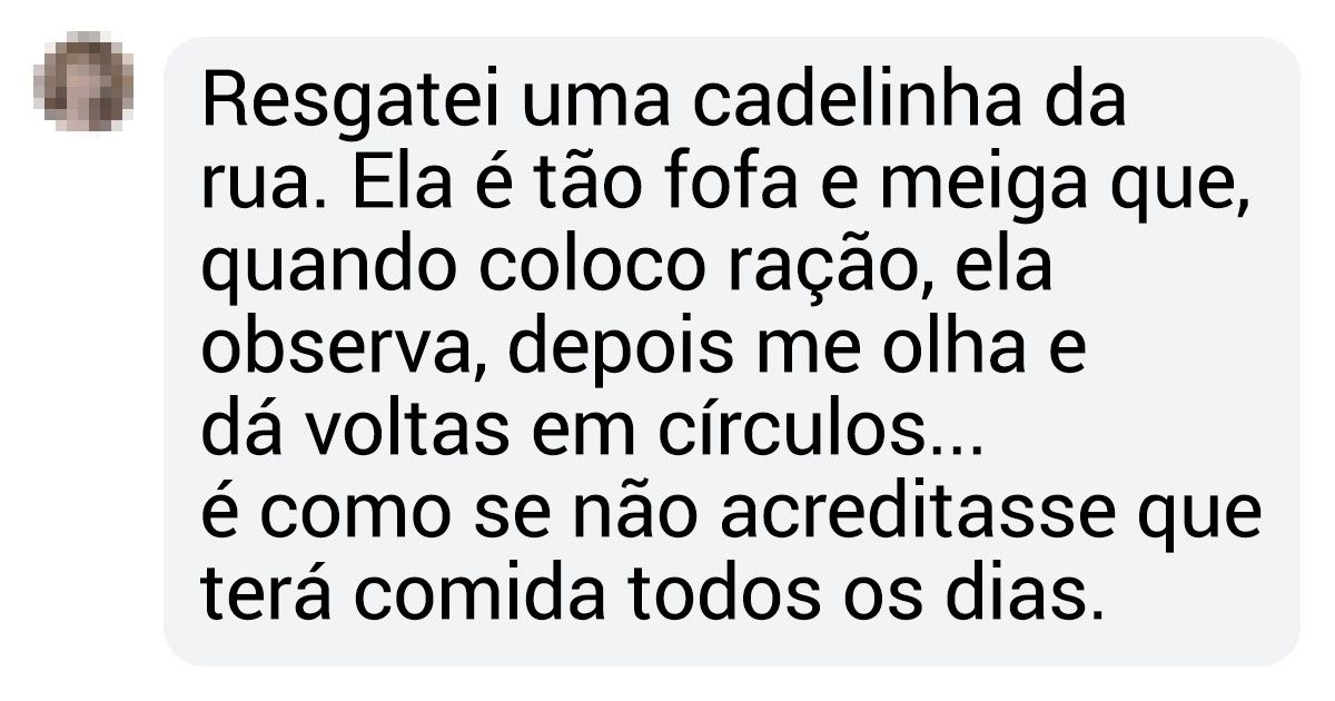 15 Leitores do Incrível relatam experiências de adotar animais de abrigos ou de rua e contam como isso mudou suas vidas