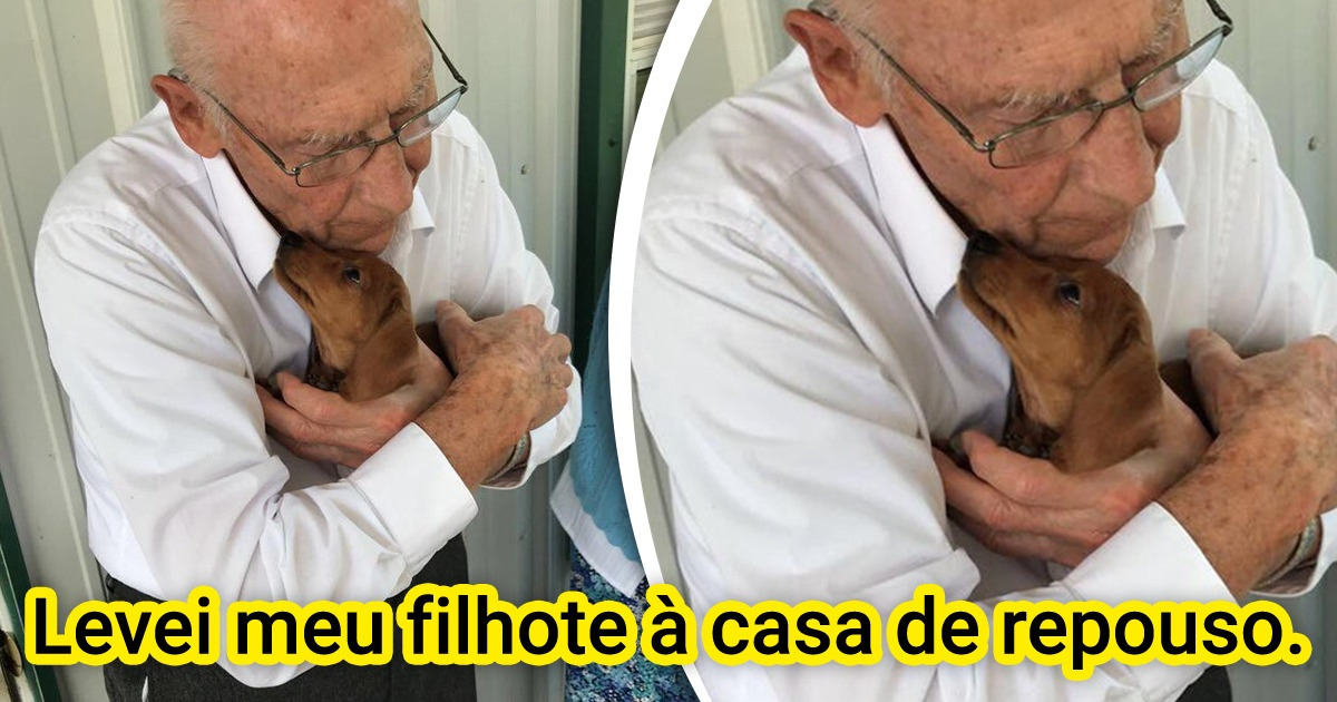 20 Fotos que irradiam uma onda gigante de fofura