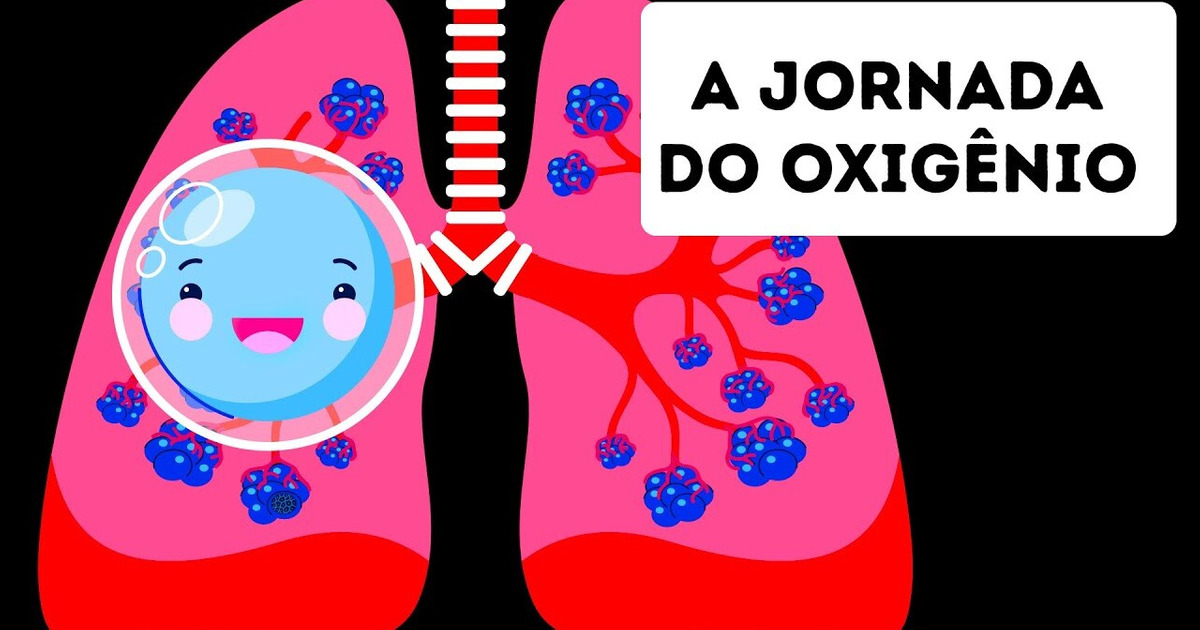 A jornada do oxigênio através do corpo humano