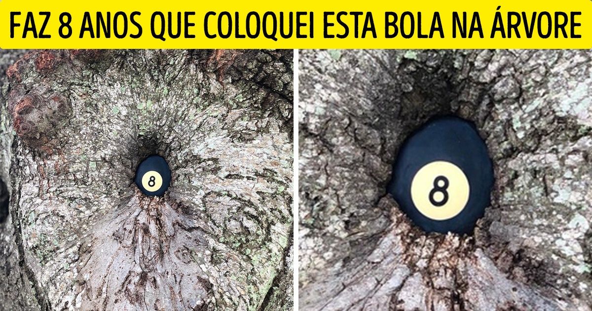 20+ Fotos raras que provam que este mundo está cheio de surpresas (nova seleção)