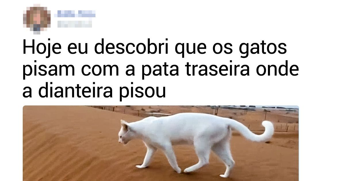 20+ Internautas que descobriram coisas novas (apesar de um pouco atrasados)
