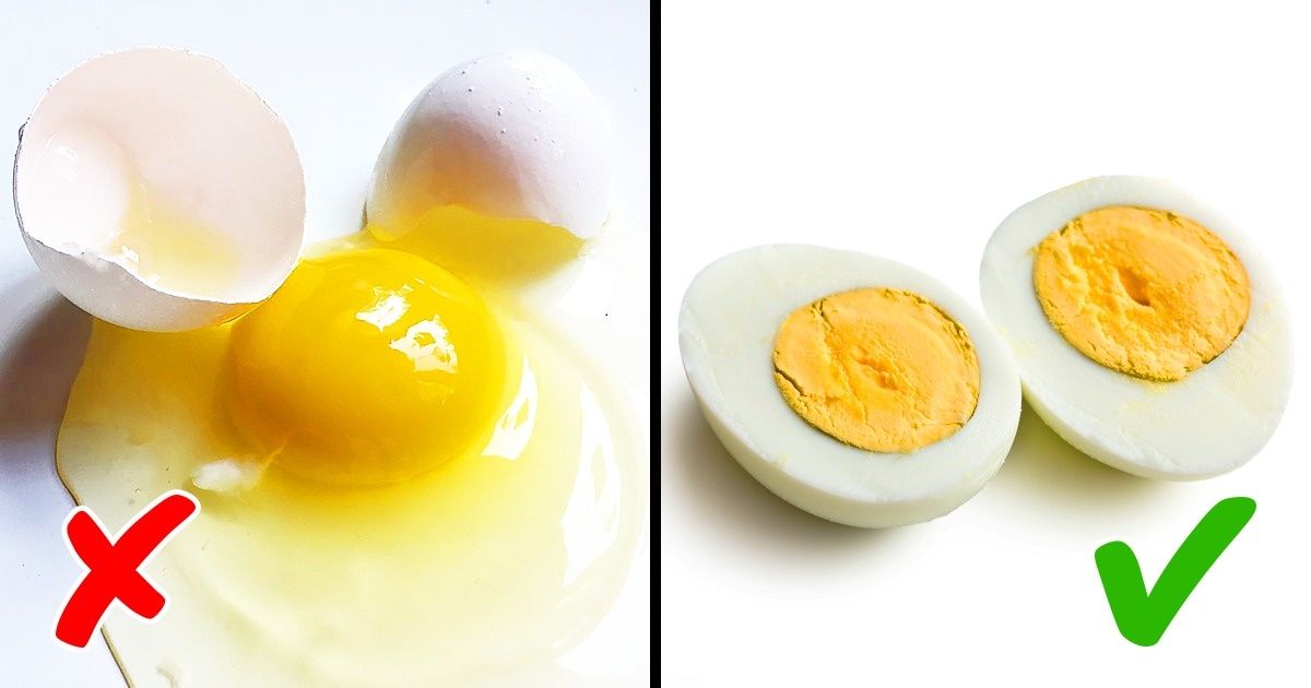 10 Alimentos que podem não fazer bem ao seu animal de estimação