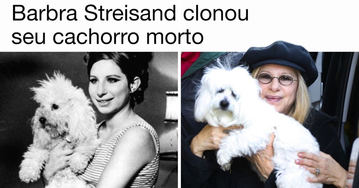 5 Atitudes surpreendentes tomadas por famosos