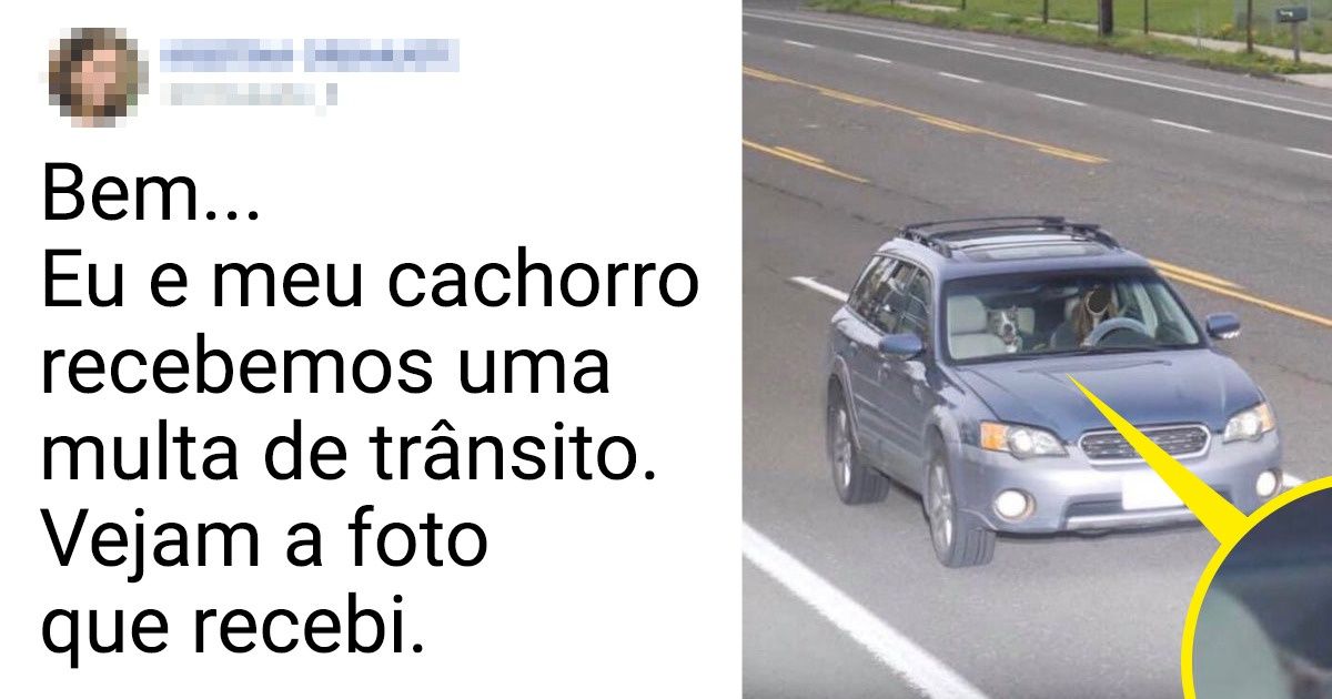 19 Animais que são a verdadeira definição de traquinagem 19 Animais que são a verdadeira definição de traquinagem