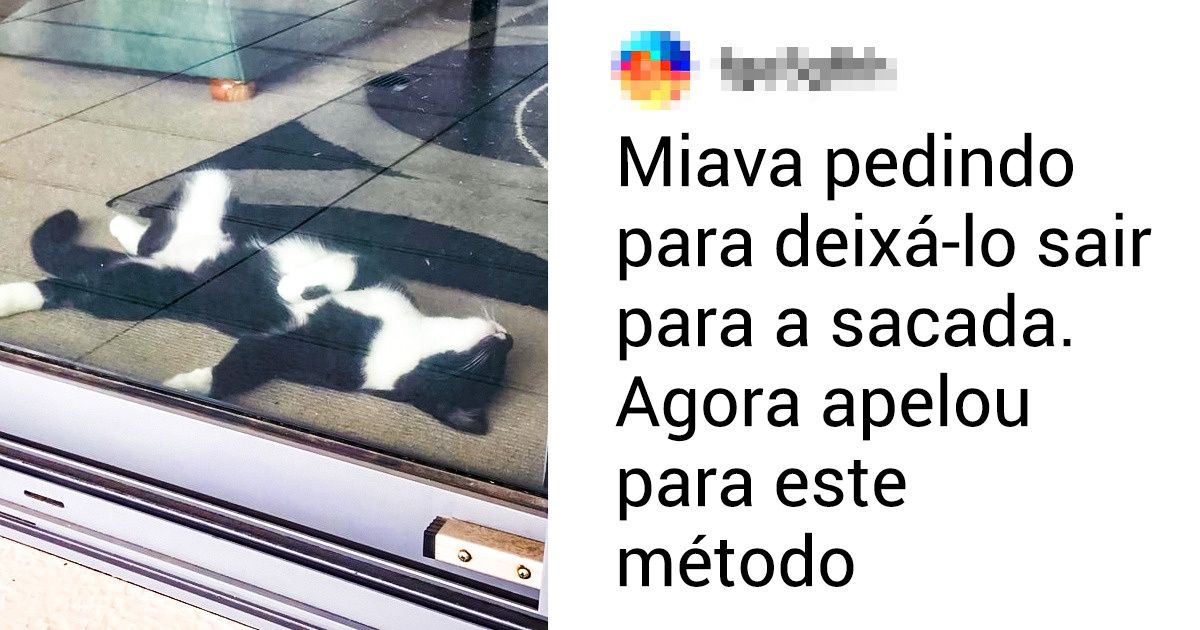 20 Fotos emocionantes de seres que sabem como fazer uma verdadeira cena 20 Fotos emocionantes de seres que sabem como fazer uma verdadeira cena