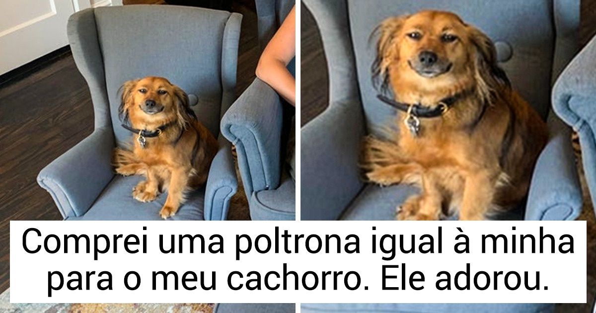 10+ Fotos que acolhem e esquentam a alma como um abraço carinhoso