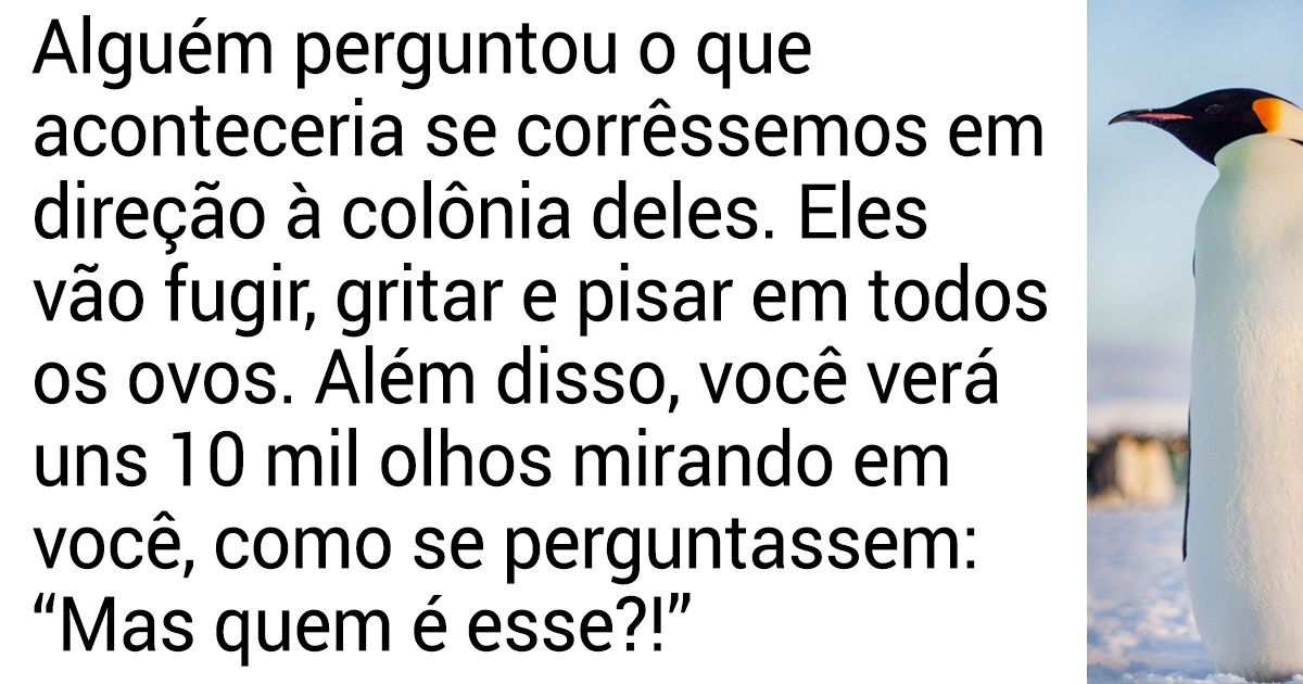 25 Tuítes de um explorador polar que descreve a complexidade e o esplendor da vida na Antártica 25 Tuítes de um explorador polar que descreve a complexidade e o esplendor da vida na Antártica