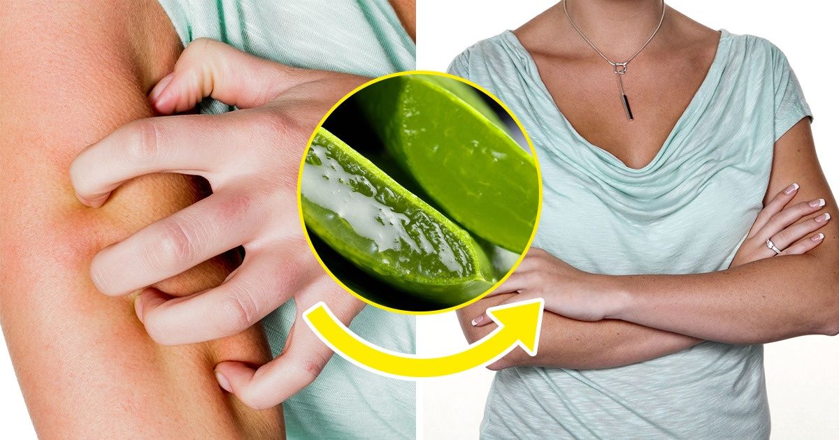 10 Plantas medicinais de cultivo fácil, para uma vida mais natural 10 Plantas medicinais de cultivo fácil, para uma vida mais natural