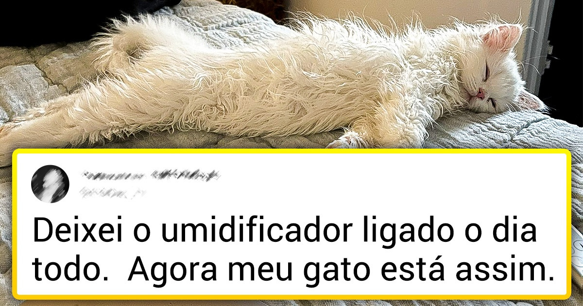 18 Tuítes que os donos de amigos de quatro patas vão entender 18 Tuítes que os donos de amigos de quatro patas vão entender