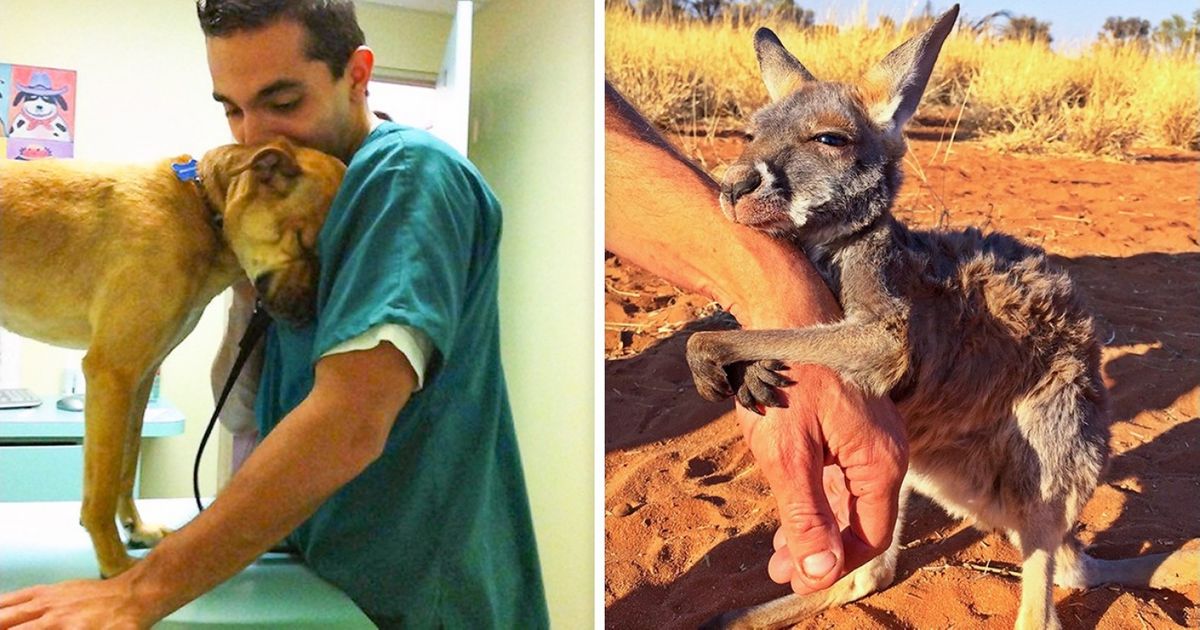 O carinho dos animais com as pessoas que os salvaram O carinho dos animais com as pessoas que os salvaram