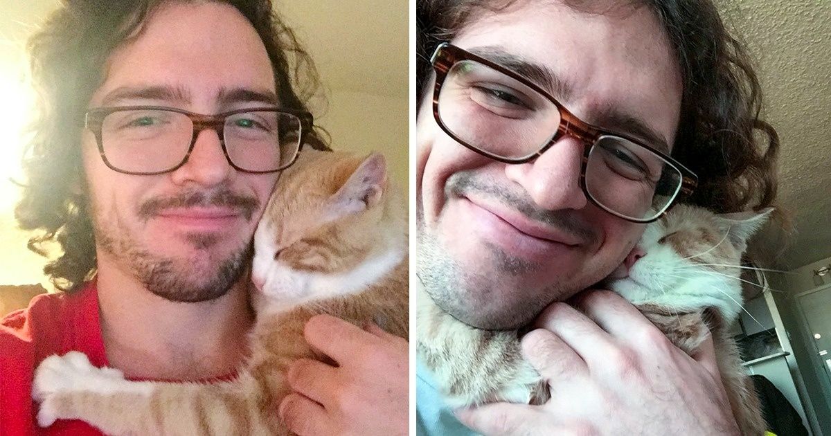 Adotou um gato de abrigo e recebeu muito amor Adotou um gato de abrigo e recebeu muito amor