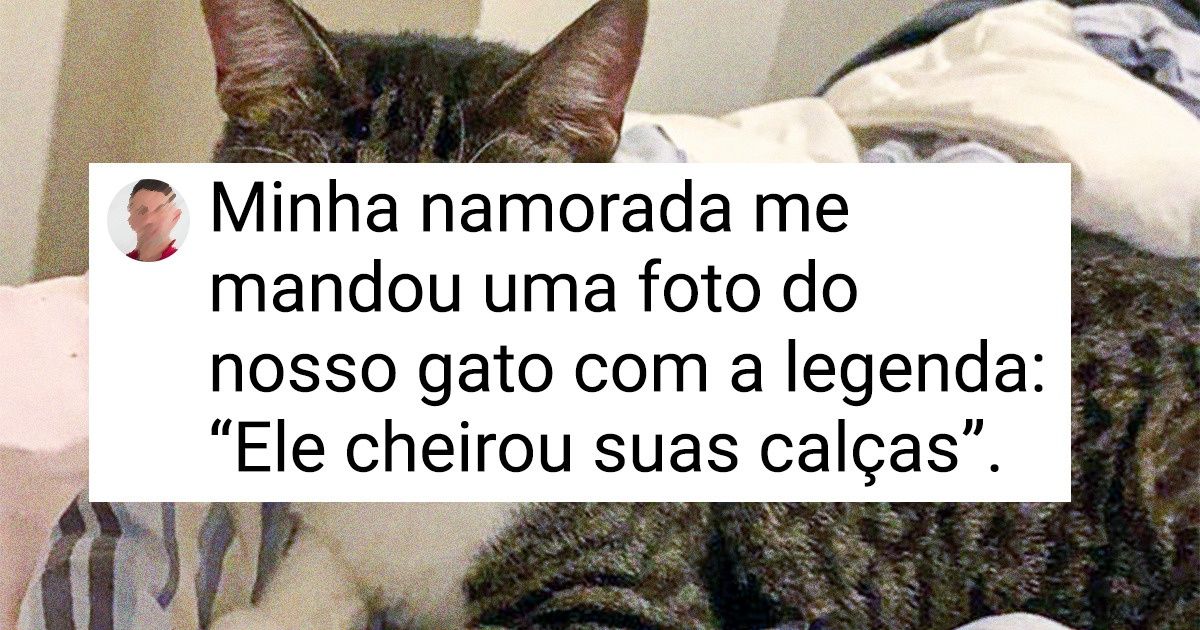20+ Bichinhos de estimação que dizem tudo através de suas expressões faciais