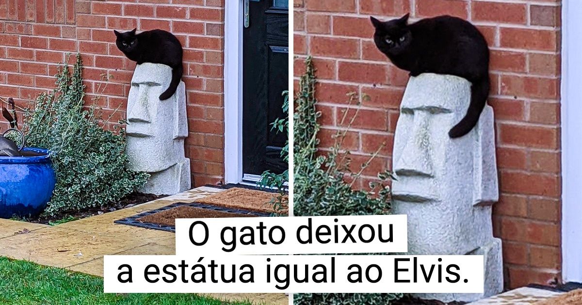 15 Pessoas que encontraram objetos surpreendentes e improváveis 15 Pessoas que encontraram objetos surpreendentes e improváveis