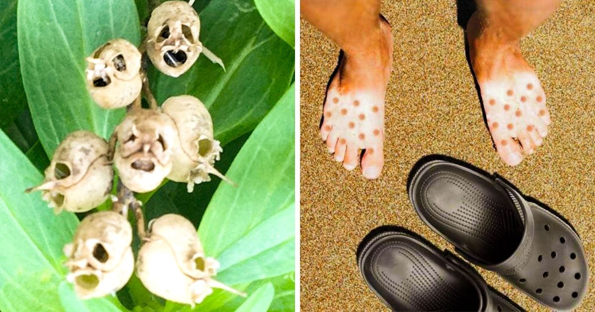 20 Pessoas que encontraram coisas extraordinárias e super improváveis 20 Pessoas que encontraram coisas extraordinárias e super improváveis