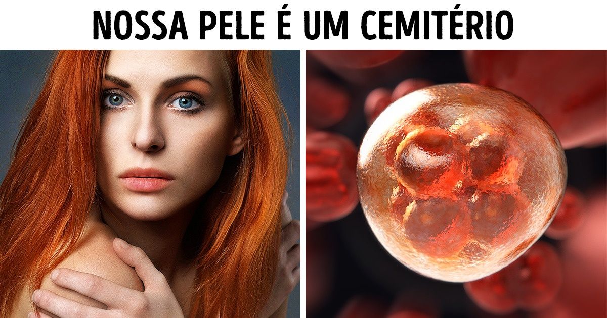 12 Dados curiosos sobre seu corpo capazes de surpreender qualquer um 12 Dados curiosos sobre seu corpo capazes de surpreender qualquer um