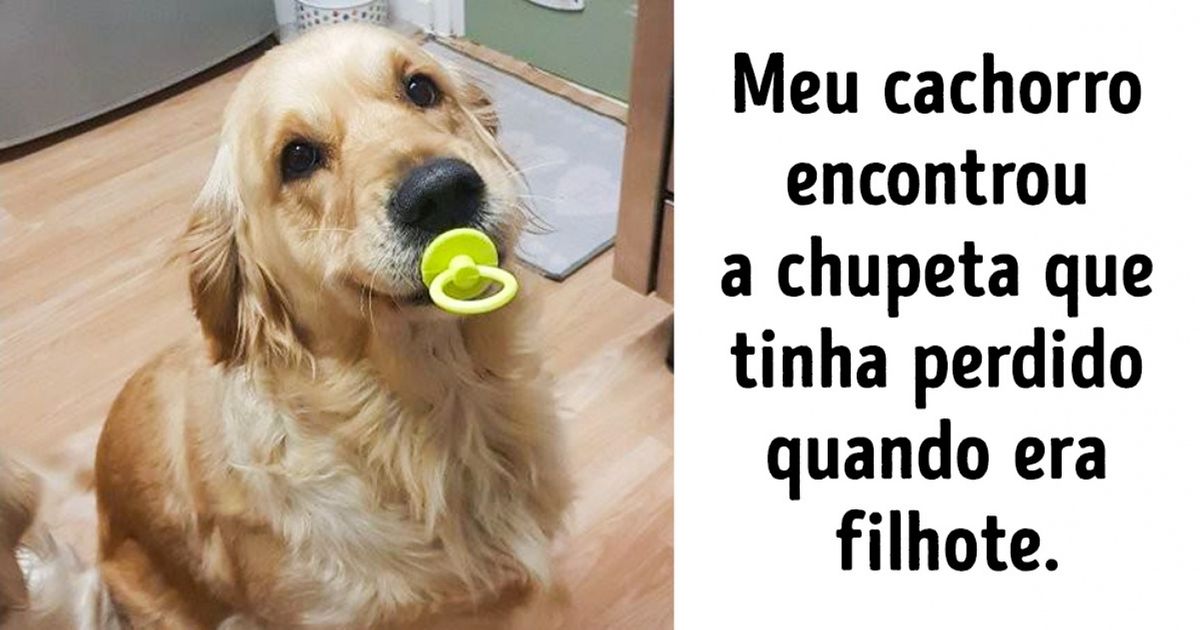 17 Fotos que mostram coisas raras de acontecer