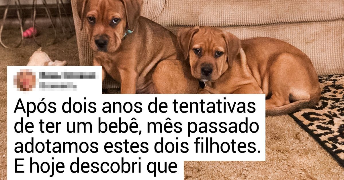 17 Fotos tocantes que nos fazem repensar o sentido da vida 17 Fotos tocantes que nos fazem repensar o sentido da vida