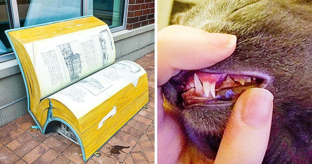 18 Fotos que todos deveríamos ver pelo menos uma vez na vida