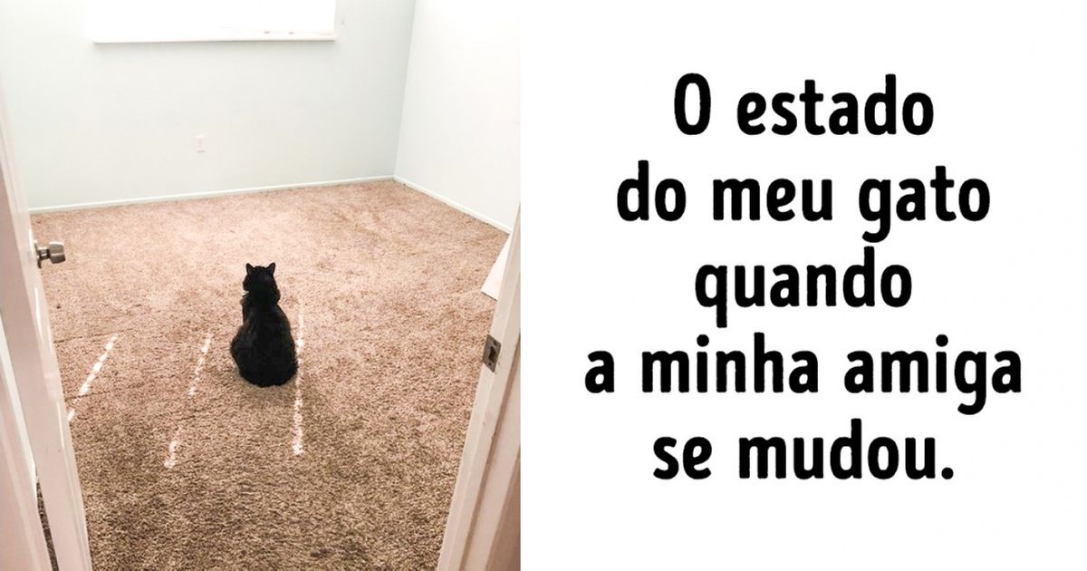 A sinceridade dos animais na maneira de mostrar amor
