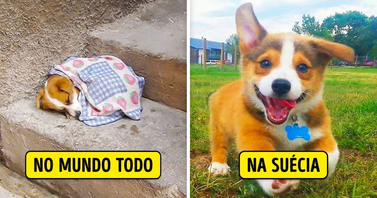 11 coisas que só acontecem na Suécia