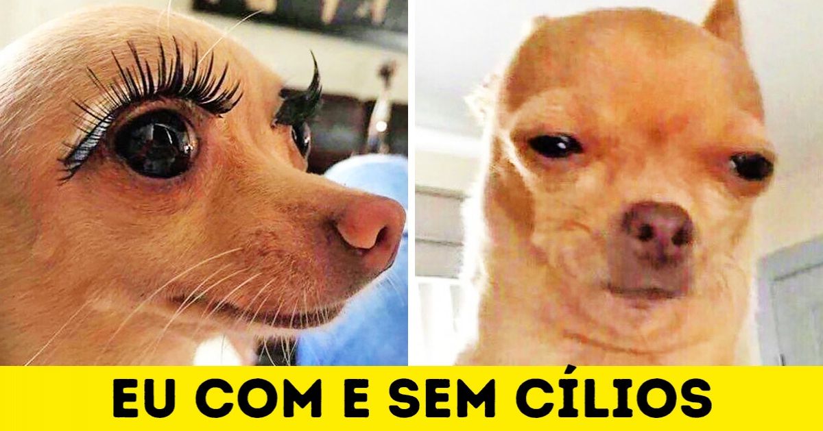 19 Mulheres que têm um superpoder: levar as pessoas ao estupor