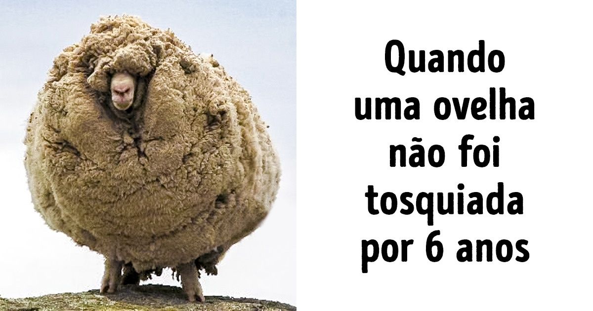 19 Fotos estranhas que você deve ver ao menos uma vez na vida 19 Fotos estranhas que você deve ver ao menos uma vez na vida