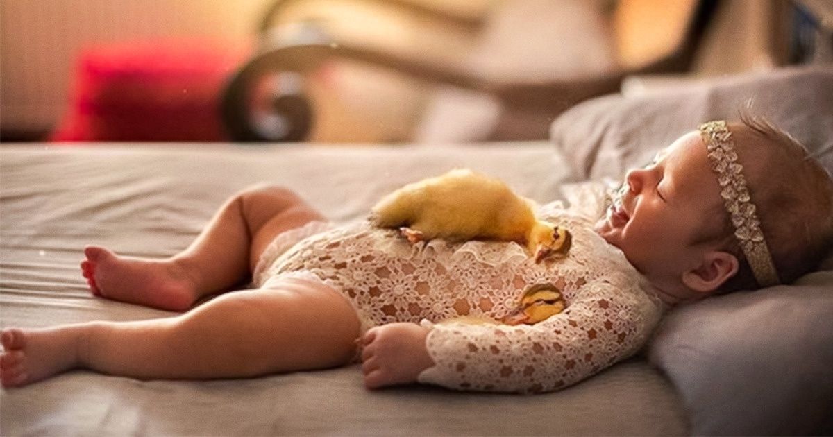 Fotógrafo clica recém-nascidos em momentos meigos com animais, e imagens são muito fofas Fotógrafo clica recém-nascidos em momentos meigos com animais, e imagens são muito fofas