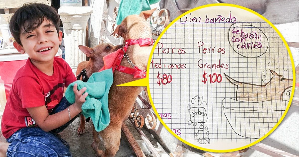 Pequeno mexicano de 7 anos abriu seu próprio negócio com o slogan “Lavam-se cães com carinho” Pequeno mexicano de 7 anos abriu seu próprio negócio com o slogan “Lavam-se cães com carinho”