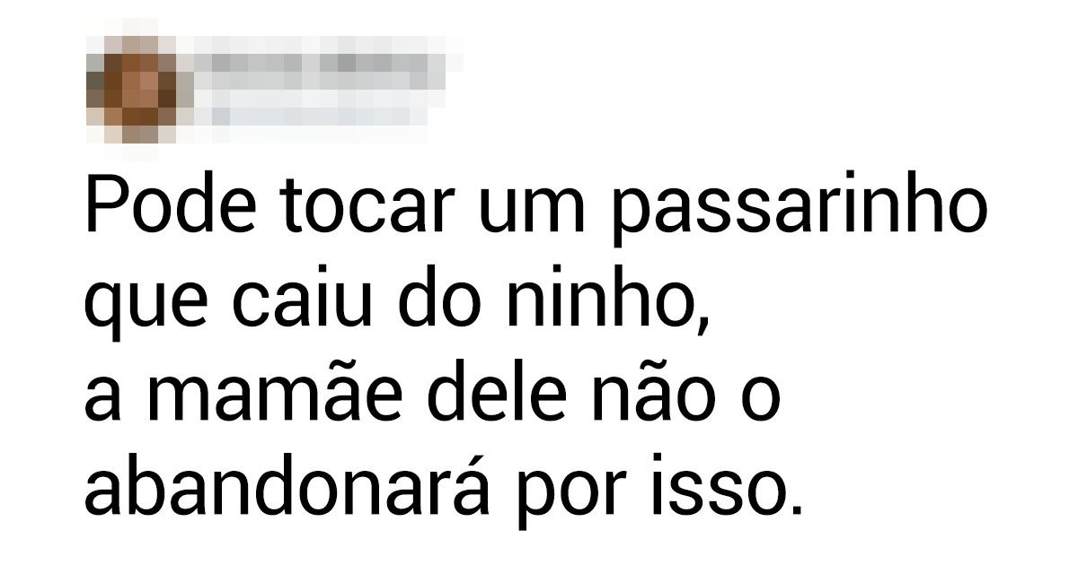 13 Conceitos errados em que quase todos nós sempre acreditamos