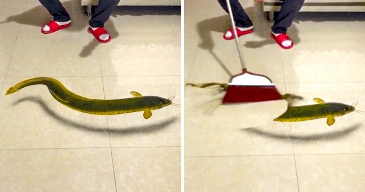 14 Imagens estranhas capazes de desconcertar qualquer um