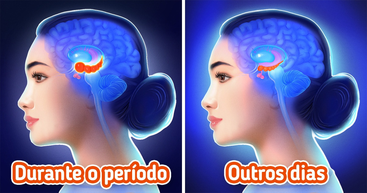 6 Coisas que você provavelmente não sabe que acontecem durante o seu ciclo menstrual