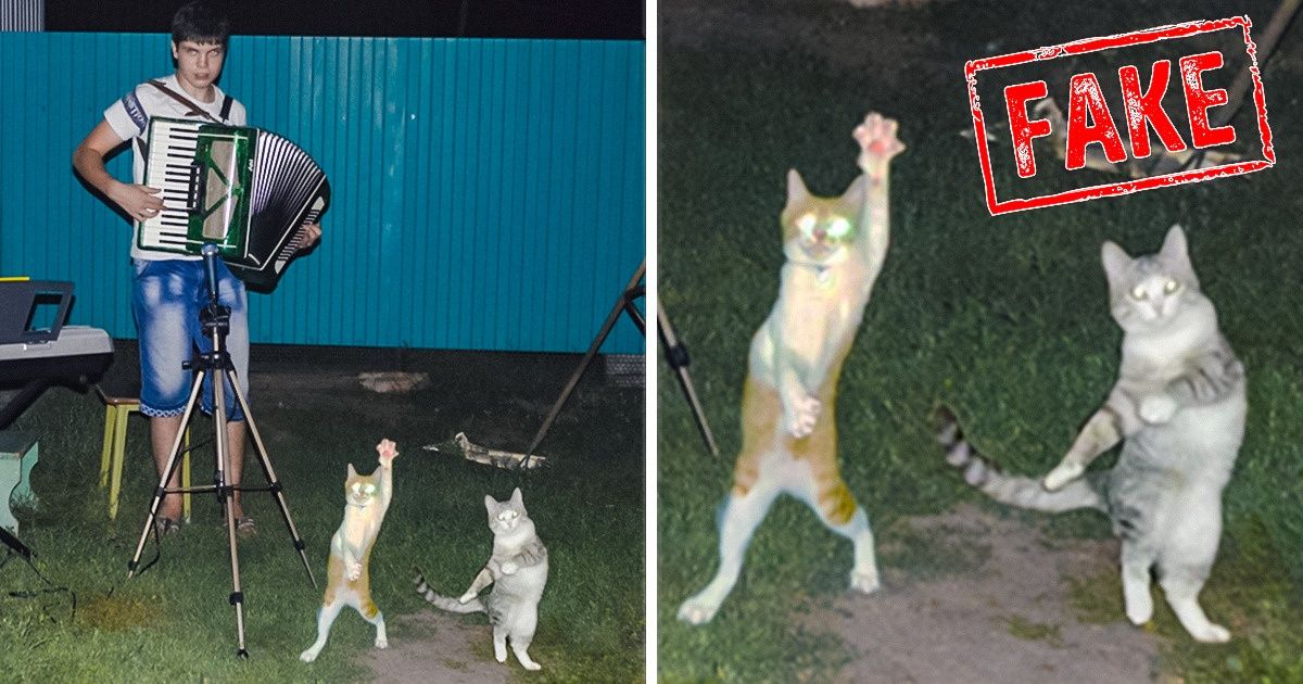 17 Fotografias espantosas nas quais a internet acreditou, mas são falsas 17 Fotografias espantosas nas quais a internet acreditou, mas são falsas