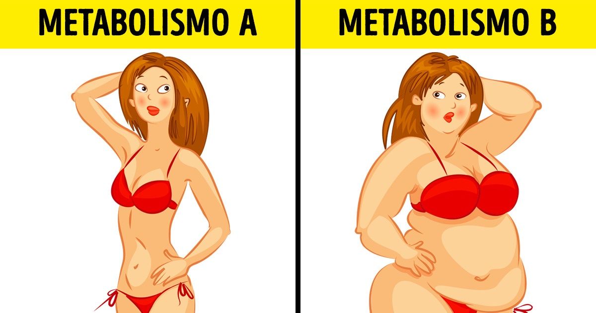 O que é a dieta metabólica e por que pode funcionar no seu caso?
