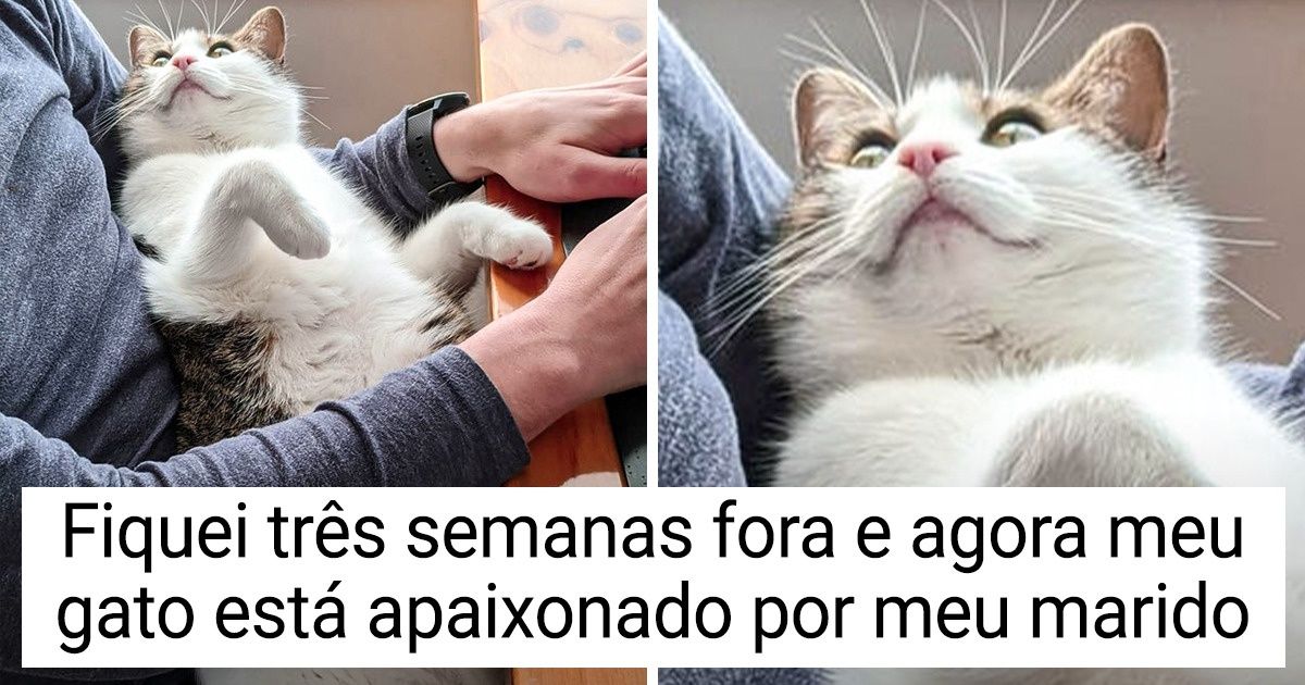 16 Animais de estimação que são tão expressivos, que seus humanos podem lê-los como verdadeiros livros abertos 16 Animais de estimação que são tão expressivos, que seus humanos podem lê-los como verdadeiros livros abertos