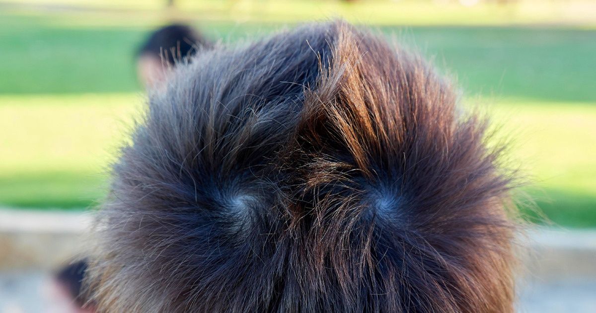 19 Imagens inusitadas que foram capturadas no momento exato 19 Imagens inusitadas que foram capturadas no momento exato