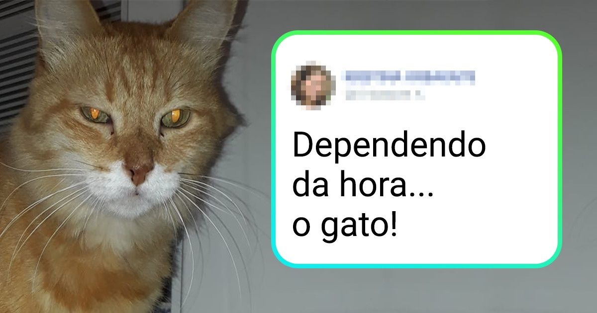15+ Seguidores entraram na brincadeira e mostraram o que poderia ser levado de cima de suas geladeiras (spoiler: coitado do ladrão) 15+ Seguidores entraram na brincadeira e mostraram o que poderia ser levado de cima de suas geladeiras (spoiler: coitado do ladrão)