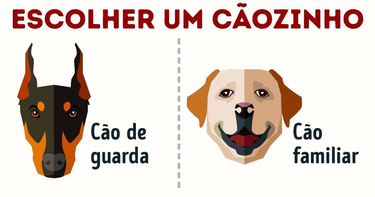 Como encontrar o cãozinho perfeito para você?