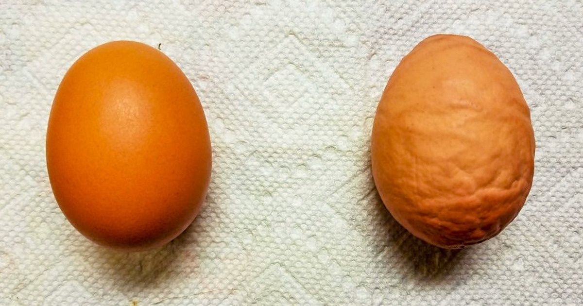 20+ Provas de que é possível aprender tudo fazendo comparações