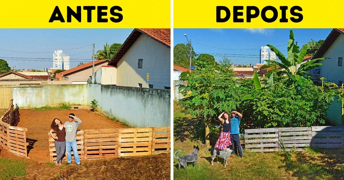 Em seis meses, jovem transforma seu quintal seco em uma verdadeira máquina de produzir comida saudável (e mostraremos como ela fez isso)