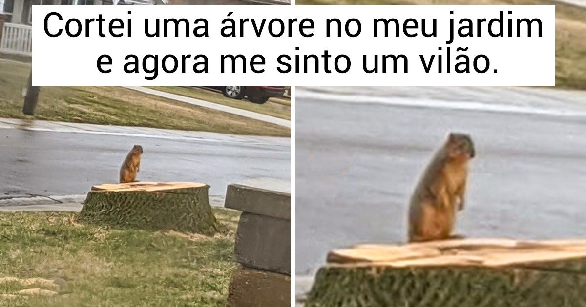 15+ Fotos que mostram como a mãe natureza fica devastada quando a “esfaqueamos pelas costas”